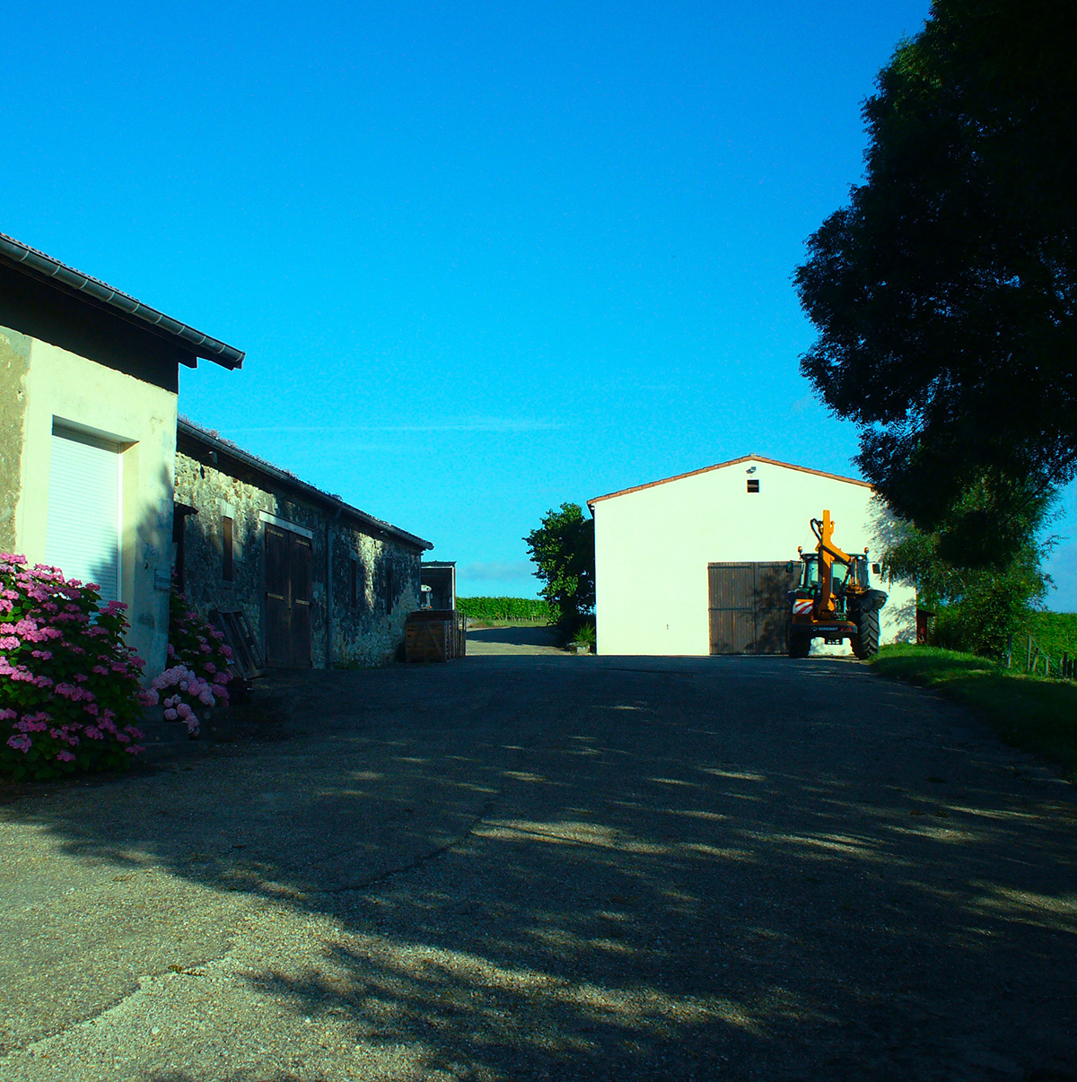 Unsere professionellen Partner